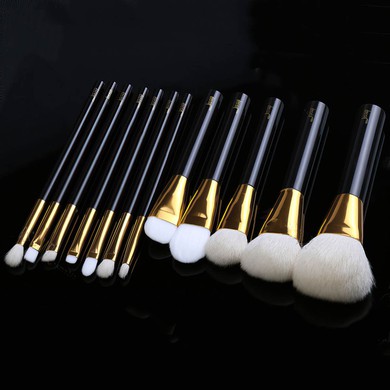 Nylon Professional Makeup Brush Set in 12Pcs #Milly03150030