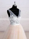 Ball Gown V-neck Tulle Court Train Appliques Lace Wedding Dresses #Milly00023114