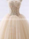Ball Gown Strapless Tulle Court Train Appliques Lace Prom Dresses #Milly020105438