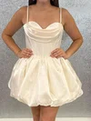 Corset Satin Organza Ruched Skater Homecoming Dresses #Milly02055261